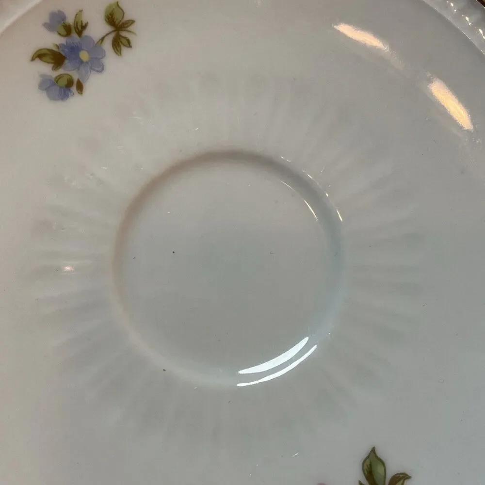 Vintage Bareuther Waldsassen Bavaria Germany Porcelain Tea cup saucer Flower 103